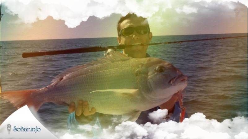 Pescador Spanish To English Translation Spanishdict